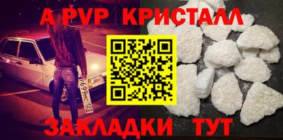крисы Малгобек