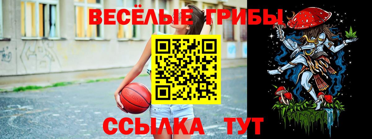 Галлюциногенные грибы Psilocybe Армавир